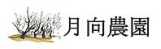 ~Ȃς茎