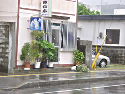 観葉植物の鉢が転がっています