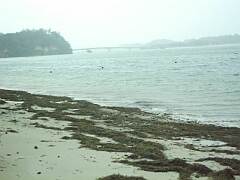 羽地内海