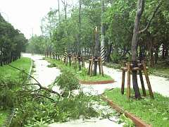 台風情報