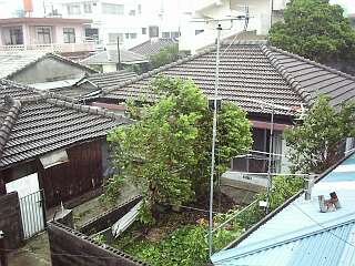 台風情報